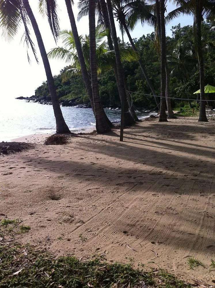 Turtle Cove Beach Resort - Adults Only Lgbtqia & Allies Wangetti