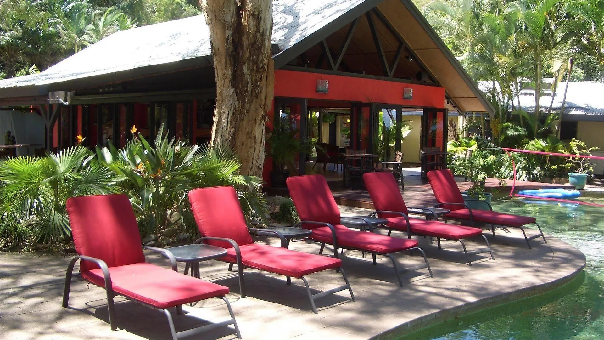 Turtle Cove Beach Resort - Adults Only Lgbtqia & Allies Wangetti